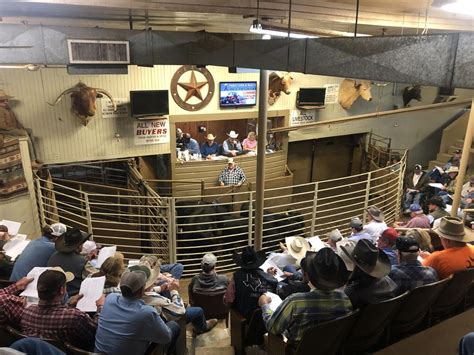 Livestock producers sale barn. Things To Know About Livestock producers sale barn. 